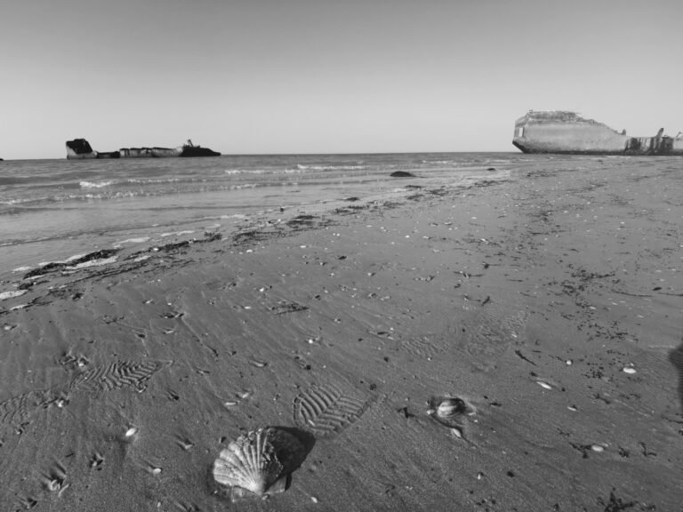 # 3️⃣ 🏰 Itinéraires Clé-en-Main pour Découvrir Bayeux et les Plages du Débarquement en 1, 2 ou 3 Jours