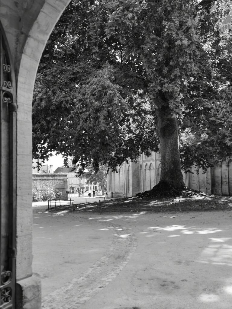 Hébergement Bayeux : trouver l'hébergement parfait à Bayeux en Normandie